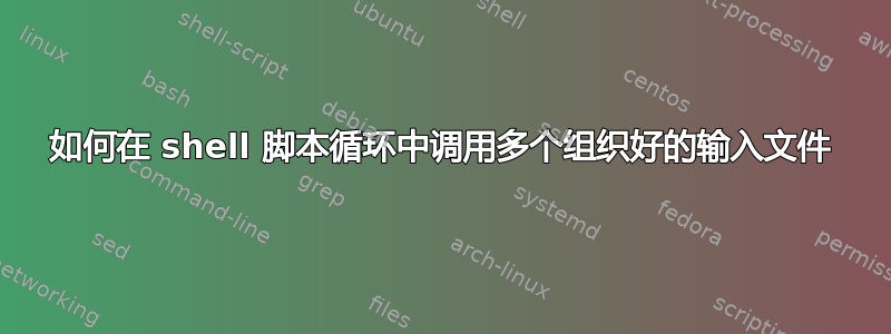 如何在 shell 脚本循环中调用多个组织好的输入文件