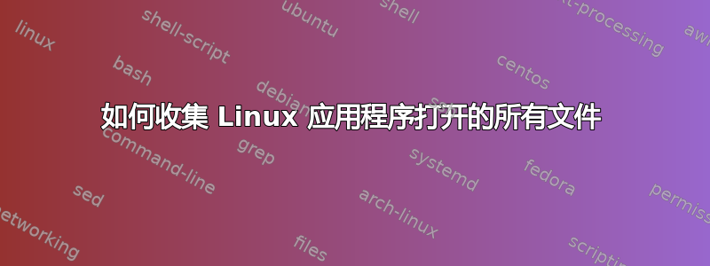 如何收集 Linux 应用程序打开的所有文件