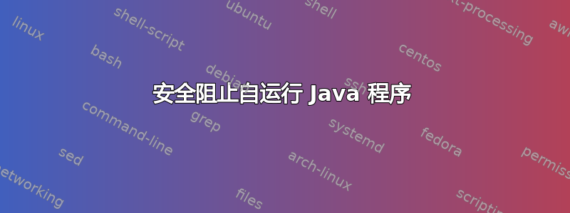 安全阻止自运行 Java 程序