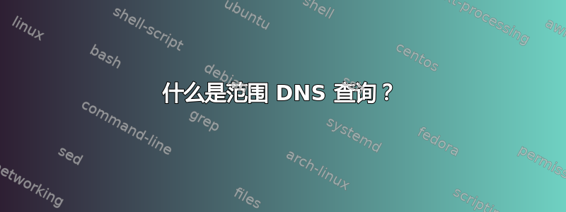 什么是范围 DNS 查询？