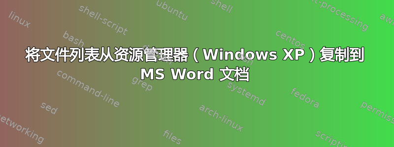 将文件列表从资源管理器（Windows XP）复制到 MS Word 文档