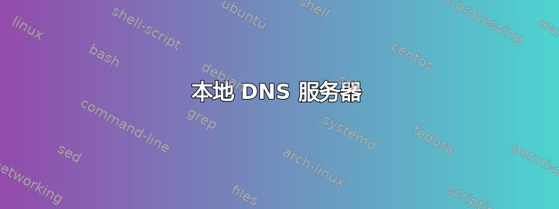 本地 DNS 服务器