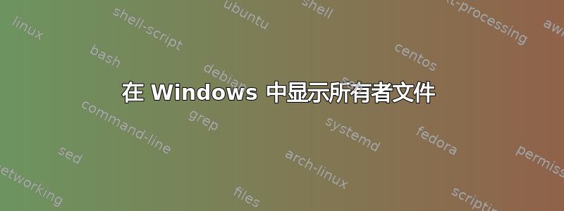 在 Windows 中显示所有者文件