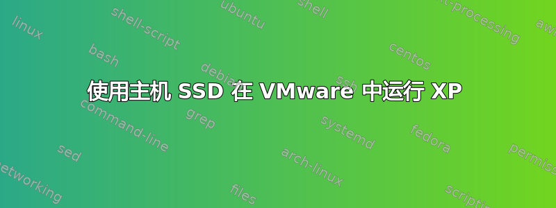 使用主机 SSD 在 VMware 中运行 XP