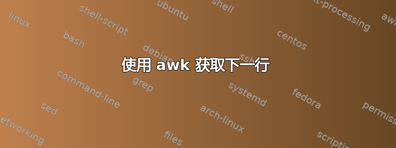 使用 awk 获取下一行