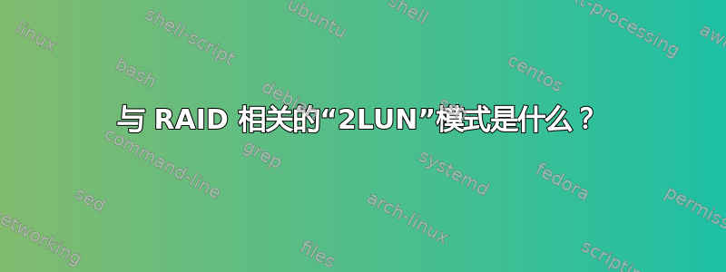 与 RAID 相关的“2LUN”模式是什么？