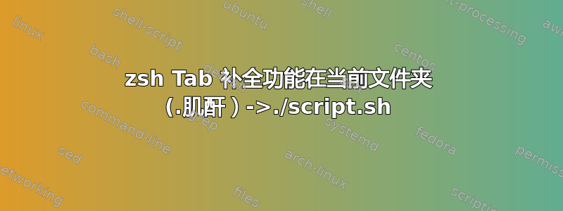 zsh Tab 补全功能在当前文件夹 (.肌酐）->./script.sh