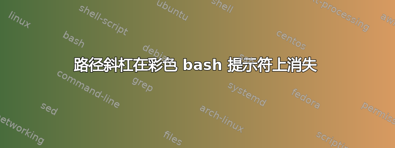 路径斜杠在彩色 bash 提示符上消失