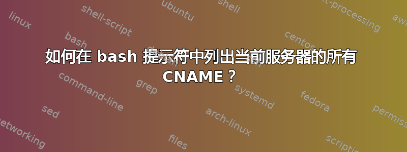 如何在 bash 提示符中列出当前服务器的所有 CNAME？