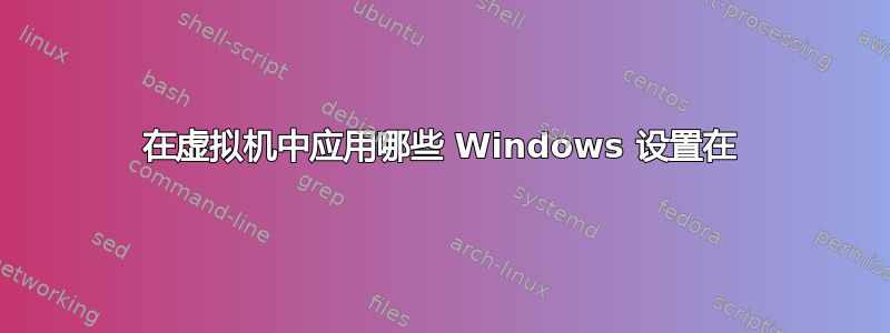 在虚拟机中应用哪些 Windows 设置在