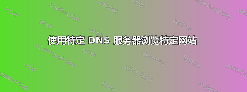 使用特定 DNS 服务器浏览特定网站