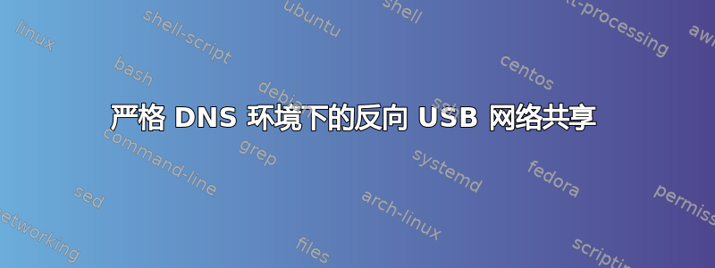 严格 DNS 环境下的反向 USB 网络共享