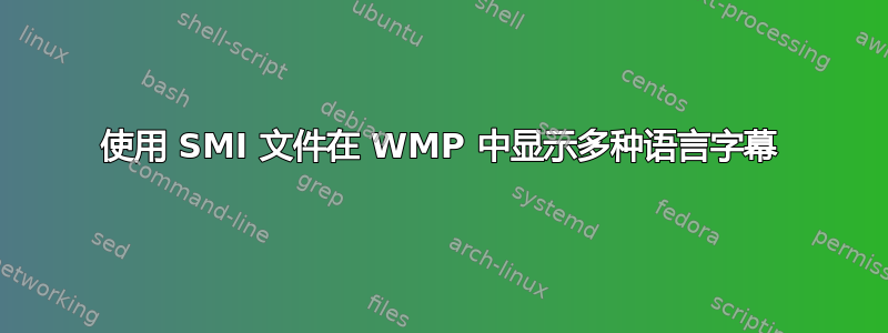 使用 SMI 文件在 WMP 中显示多种语言字幕