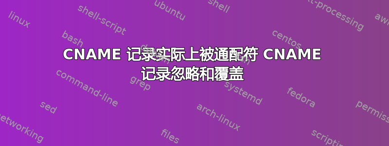 CNAME 记录实际上被通配符 CNAME 记录忽略和覆盖