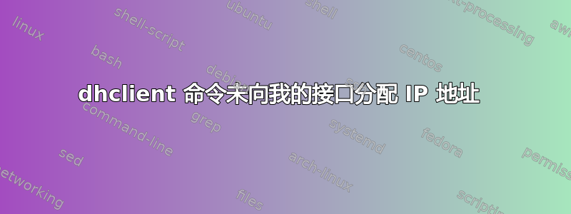 dhclient 命令未向我的接口分配 IP 地址 