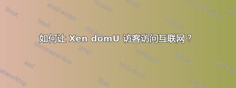 如何让 Xen domU 访客访问互联网？