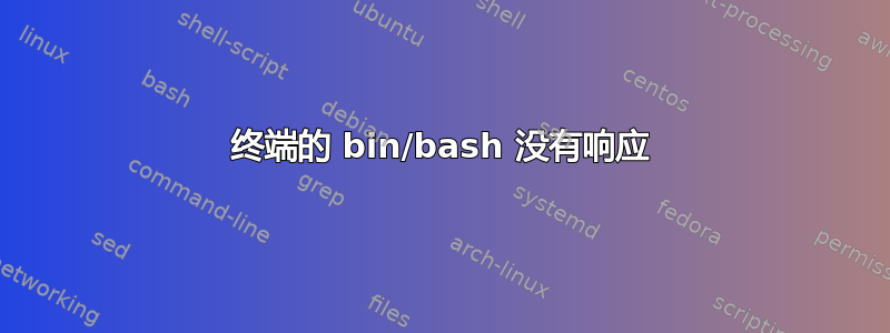 终端的 bin/bash 没有响应