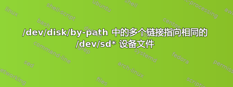 /dev/disk/by-path 中的多个链接指向相同的 /dev/sd* 设备文件