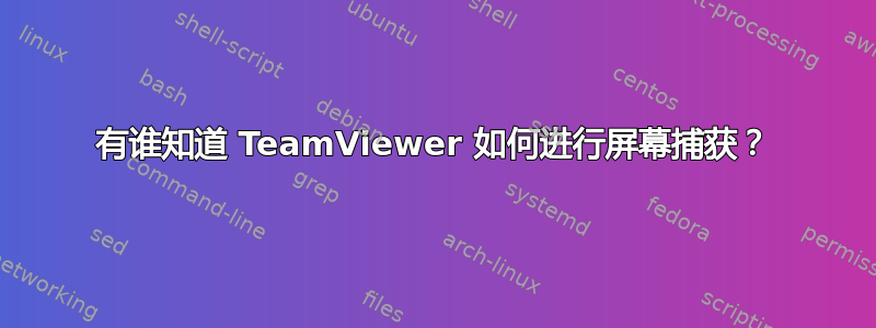 有谁知道 TeamViewer 如何进行屏幕捕获？