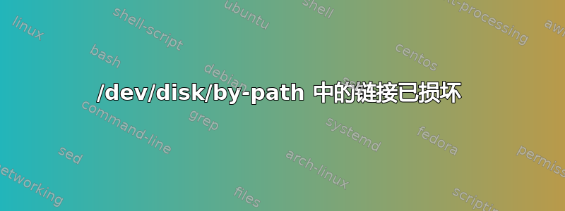 /dev/disk/by-path 中的链接已损坏