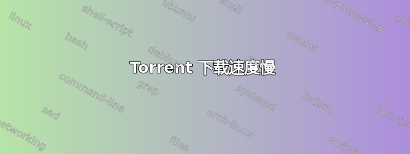 Torrent 下载速度慢