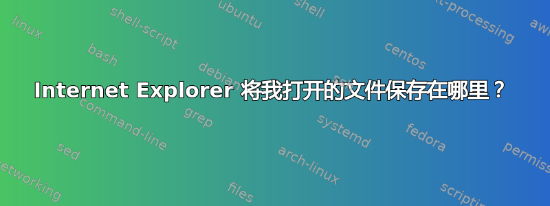 Internet Explorer 将我打开的文件保存在哪里？