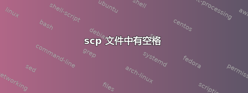 scp 文件中有空格