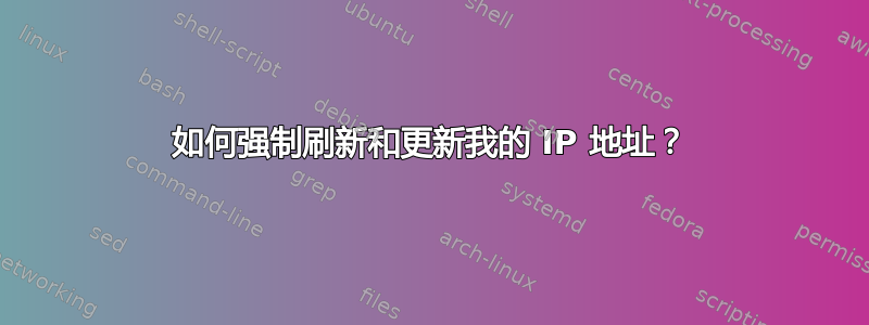 如何强制刷新和更新我的 IP 地址？