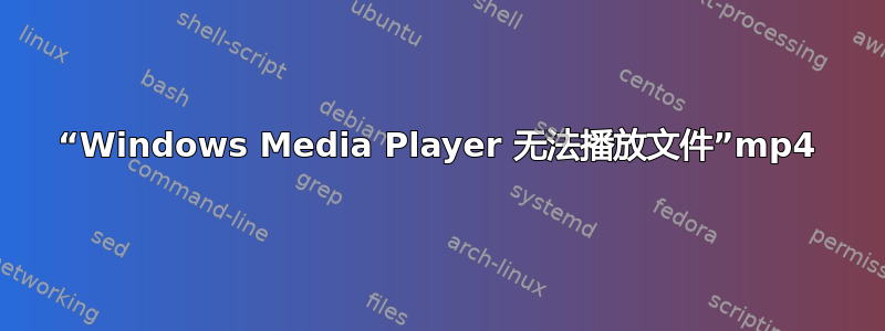 “Windows Media Player 无法播放文件”mp4