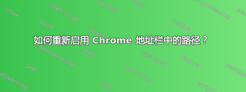 如何重新启用 Chrome 地址栏中的路径？