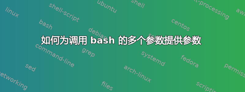 如何为调用 bash 的多个参数提供参数