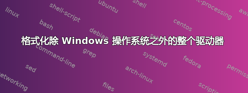 格式化除 Windows 操作系统之外的整个驱动器