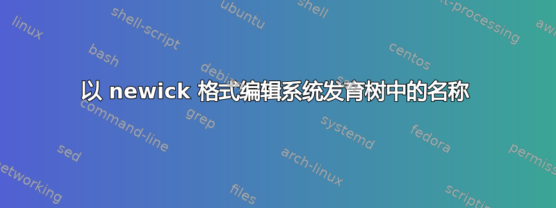 以 newick 格式编辑系统发育树中的名称