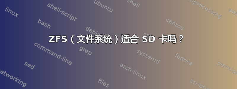 ZFS（文件系统）适合 SD 卡吗？