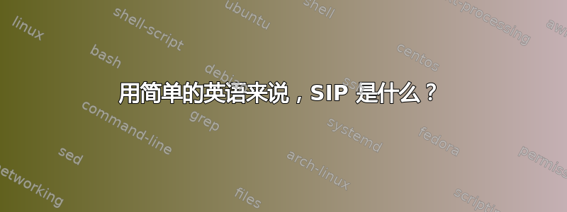 用简单的英语来说，SIP 是什么？