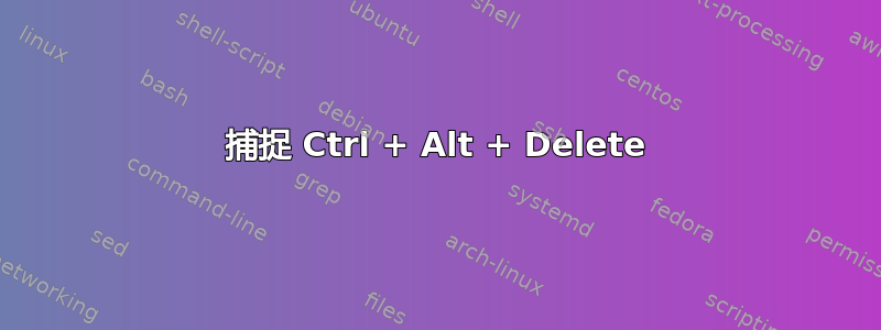 捕捉 Ctrl + Alt + Delete