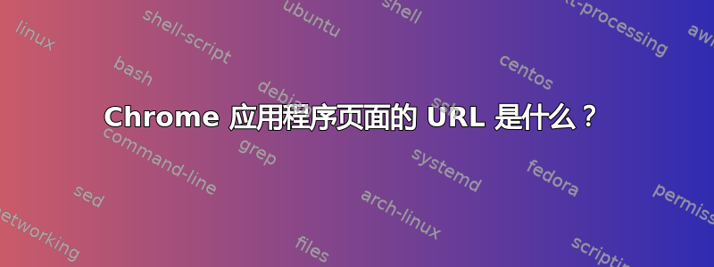 Chrome 应用程序页面的 URL 是什么？