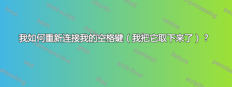 我如何重新连接我的空格键（我把它取下来了）？