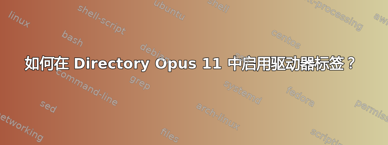 如何在 Directory Opus 11 中启用驱动器标签？