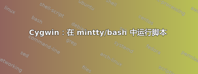 Cygwin：在 mintty/bash 中运行脚本