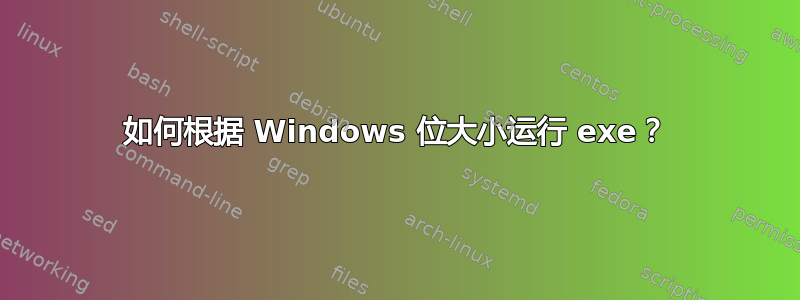 如何根据 Windows 位大小运行 exe？