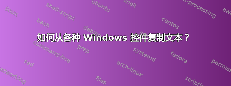 如何从各种 Windows 控件复制文本？