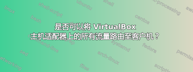 是否可以将 VirtualBox 主机适配器上的所有流量路由至客户机？