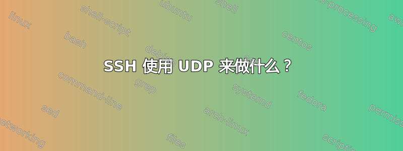 SSH 使用 UDP 来做什么？