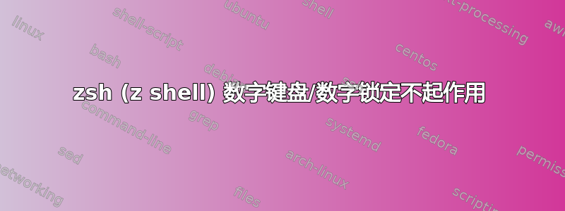 zsh (z shell) 数字键盘/数字锁定不起作用