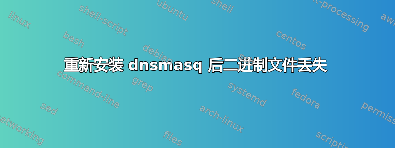 重新安装 dnsmasq 后二进制文件丢失