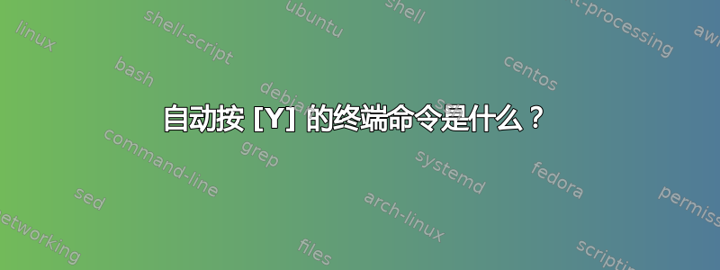 自动按 [Y] 的终端命令是什么？