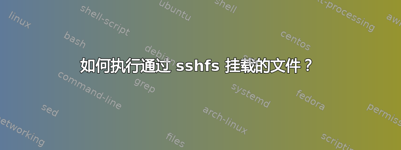 如何执行通过 sshfs 挂载的文件？