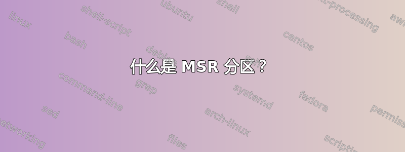 什么是 MSR 分区？