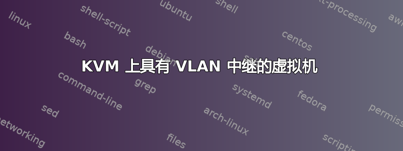 KVM 上具有 VLAN 中继的虚拟机